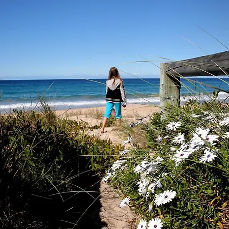 Absolute Beachfront Mollymook Exterior photo